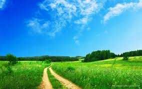 নৈসৰ্গিক